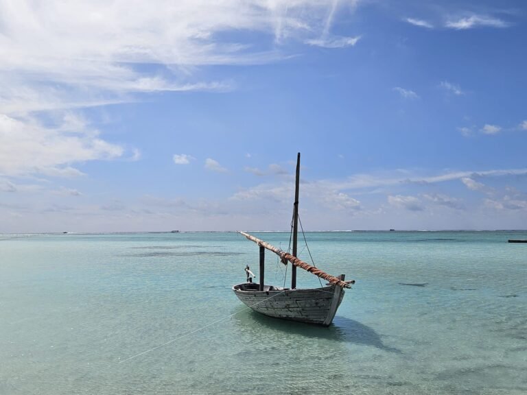 Maldvian boat trade premium food beauty Maldives